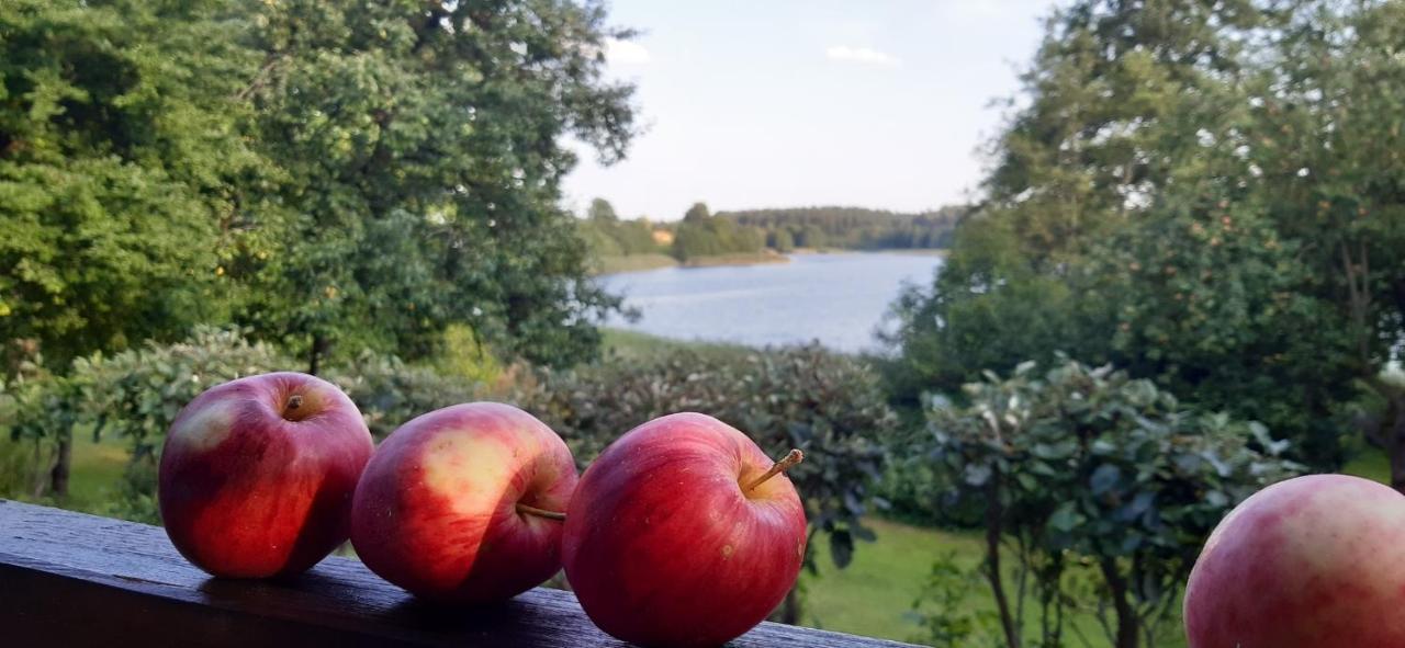 Agroturystyka Nad Czarnym Giby 외부 사진