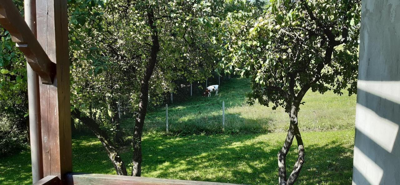 Agroturystyka Nad Czarnym Giby 외부 사진