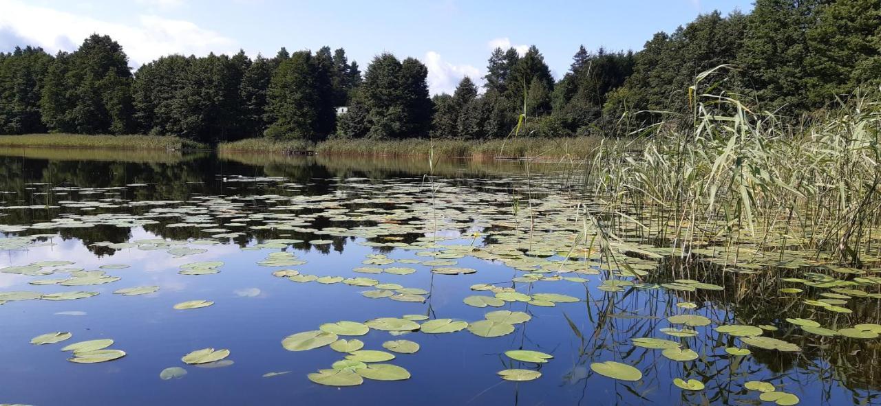 Agroturystyka Nad Czarnym Giby 외부 사진